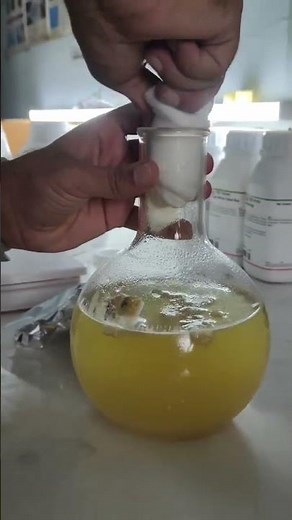 Media Preparation in Microbiology: Demonstration. How We Prepare Agar Plates in the Lab.