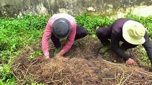 12M views · 111K reactions | Uncovering the Hidden Secrets of a High-School Turned Safe Haven P2 #clean #cleaning #cleaninghouse #cleaningteam #housekeepingteam #deepcleaning #satisfyingcleaning #cleaningasmr #cleanwithme #satisfying #cleaningmotivation #cleaninghacks #cleaningtips #cleaningszn #cleanfreshhype #cleanclearconfident #fyp #freecleaning #motivation #viralpost #asmrcommunity | Clean The Old House | Facebook