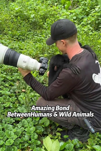 Amazing Bond Between Humans & Wild Animals, Heart-Melting Scenes #Humans #Animals #foryou #hiketok #nature