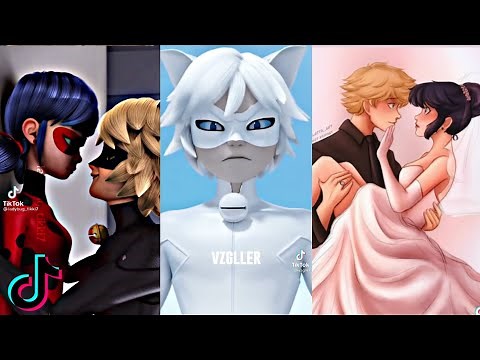 Miraculous ladybug tiktoks that made Adrien have a childhood dream.