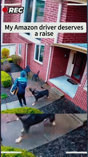 Dog's Heartwarming Moment with Delivery Man