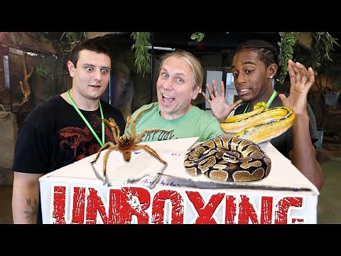 EXTREME SNAKE UNBOXING CHALLENGE!! | BRIAN BARCZYK