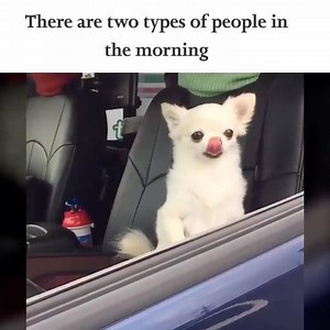 17K views · 155 reactions | Bracknell LOL’s on Reels | Facebook