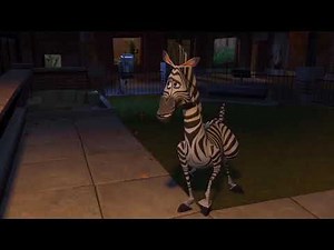 MONKEY MADAGASCAR SPITS TEA