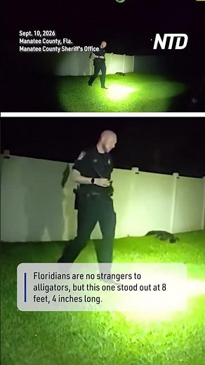 Florida Police Respond to Alligator Call at Family Home