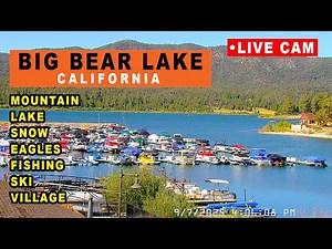 Big Bear California Live 24/7 Webcam 4K | Lake | Jackie and Shadow | Nature | Snow
