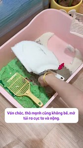 làm bài test 3 loại cát: đất sét, đậu nành, sắn cho mọi người dễ hình dung #catvesinhchomeo #catlovers #thucung #nghienmeo | Meo cô đơn