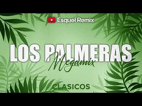 MEGAMIX Los Palmeras ENGANCHADO 2024 | Grandes Éxitos Enganchados - Esquel Remix