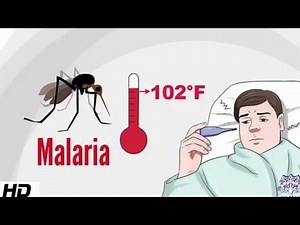 Malaria Fevar Treatment |Malaria बूखार का इलाज हिंदी में ‪@Medtronic_‬​