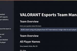 vct_team_manager