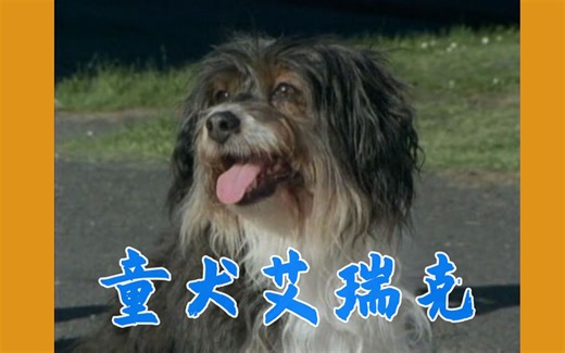 经典老剧回顾【童犬艾瑞克】第二十二集 p1-01