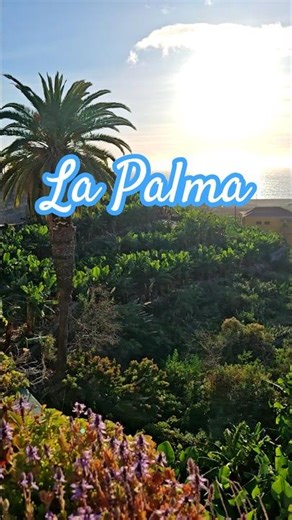 La Palma 🇪🇸 | The Wild Canary Island #lapalma #canaryislands #spaintravel #almightymission #travel