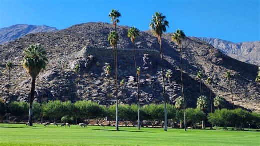 What to know about new Modernism Week Palm Springs tours, parties