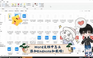 Word文档中怎么添加Endnote加载项！