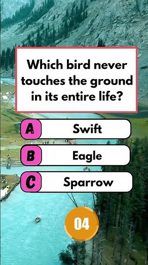 USA Quiz Challenge: Test Your Knowledge with These Questions! #usa #usashorts #usaquiz #usafacts