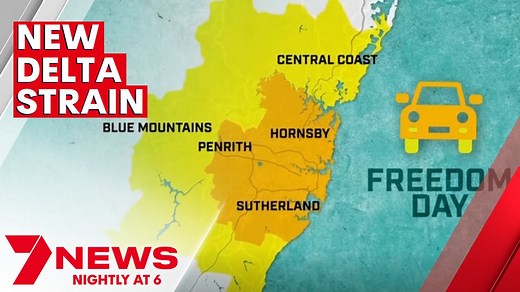 44K views · 703 reactions | A new strain of the COVID 19 Delta variant has health officials rushing to trace at least 8 cases already circulating across NSW only days out from Freedom Day. Dr Kerry Chant made the revelation as she returned to the spotlight, amid rumours of a rift with the new premier over his decision to fast-track the state's roadmap out of lockdown. More Details: https://7news.link/3uSut75 7NEWS at 6pm. #Coronavirus #7NEWS | 7NEWS Sydney | Facebook