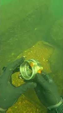 #treasure #underwater #scubadiving