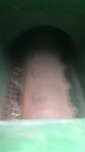 Old Corn kernel sheller conversion. Belt driven sheller to Harbor freight engine. #antique #farming