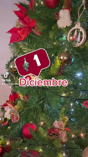 Feliz primero de #diciembreestaaqui #navidad2023 #mejorepoca #calasdesigne