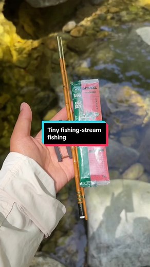 Tiny fishing.mini rod for stream fishing#fishing #fisherman #fypシ゚viral #pescador #fishinglife #streamfishing #riverfishing