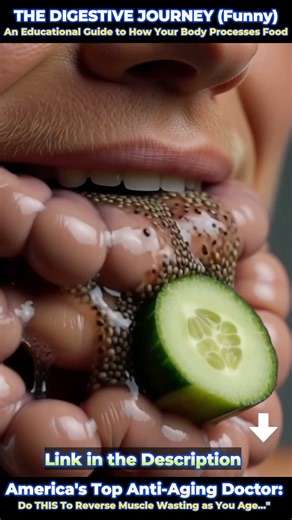 #MedicalEducation #Gastroenterology #AnatomyEducation