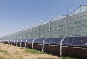 [Hot Item] Advanced Polycarbonate Greenhouse with Misting System for Agriculture