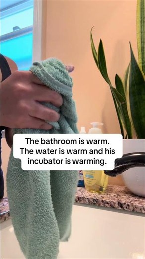 Opossum Flea bath