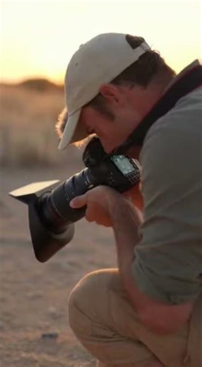 Desert Scorpion Close-Up #Scorpion #MacroPhotography #NatureDiscovery #WildlifeVideo