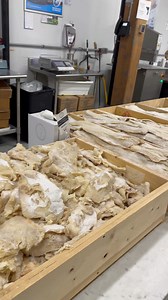 152K views · 2.1K reactions | Did you know that @portugalia_marketplace in Fall River, MA has a WHOLE ROOM devoted to Bacalhau?! #Portugal #portuguese #portugal #portuguesefood #portugaltravel #comidaportuguesa #portugueserecipe #receita #portuguesa #bacalhau #fallriver | How To Cook Stuff | Facebook