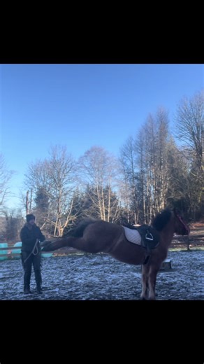 sweetdee.2020 (@sweetdee.2020)’s videos with Funny Song - Sounds Reel