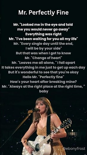 Mr. Perfectly Fine | Taylor Swift | lyrics #taylorswift #fearless #mrperfectlyfine