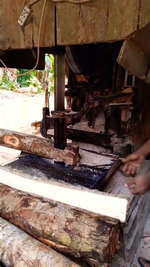 Mahogany Mayhem! Two-Man Sawmill Adventure! #mahoganywood #sawmillfactory #woodworkingtechniques