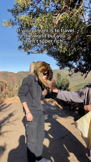 Francesco Sercia on Instagram: "Low prices, crazy experiences… Thank you @bybrookemattingly for the idea for this video For finding cheap flights, you can use Skyscanner, Google Flights, Kayak, Momondo, and Scott’s Cheap Flights. These platforms allow you to compare prices, track fare changes, and sometimes find hidden deals, especially for international travel. When it comes to accommodations, Booking.com, Airbnb, Hostelworld, Agoda, and Couchsurfing offer a range of options. These include hote