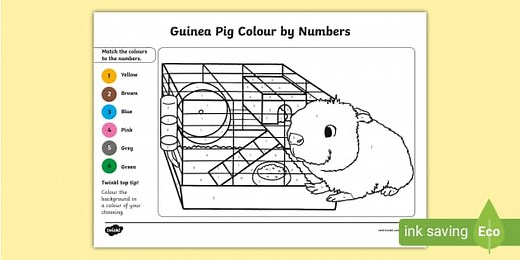 Guinea Pig Colour by Number