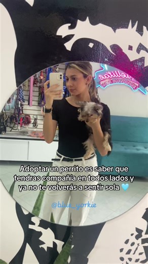 Somos tu y yo 🤞🏼🥰 #yorkshire #viral #dogmom #yorkie #perrostiktokers