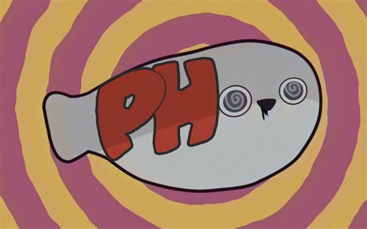 【完整版】萨卡班甲鱼的P.h