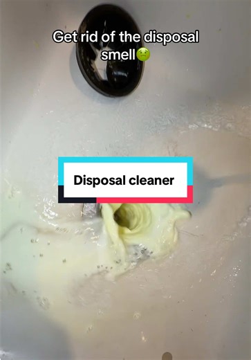 Effective Garbage Disposal Cleaning Hacks