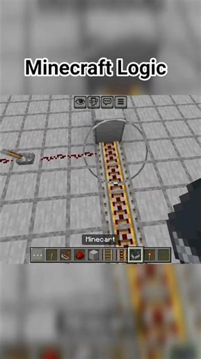 Minecraft Logic #viral #minecraft #shorts