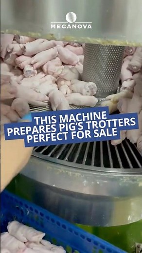 🐖 PIG'S TROTTERS | Machine for cleaning, dehairing & scalding