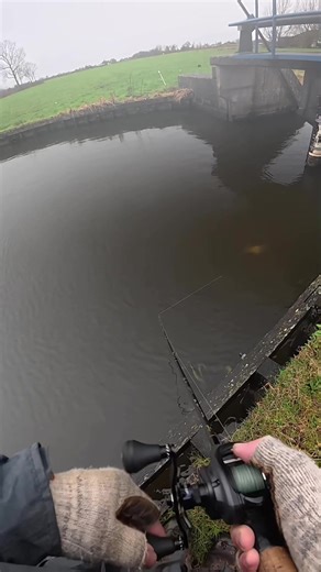 Catch and Release Pike Fishing
