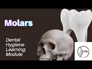 Molars: A Dental Hygiene Learning Module