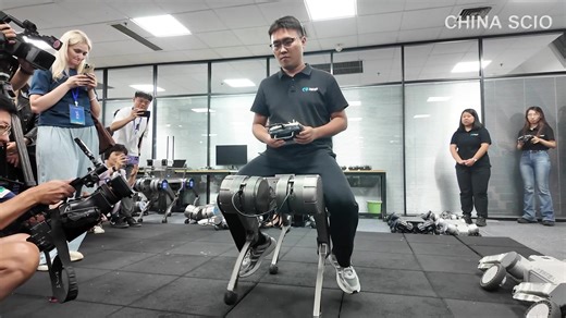 25K views · 12 reactions | At the 2025 World Humanoid #Robot Games,...