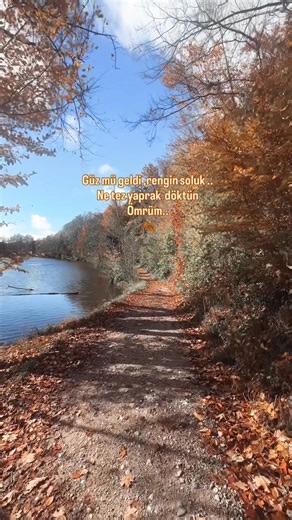 324K views · 5.2K reactions | Güzmü Geldi, Rengin Soluk, Ne Tez Yaprak Döktün Ömrüm  | Türk Müziği Severler | Facebook