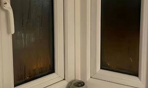 This is how to remove window condensation in five minutes