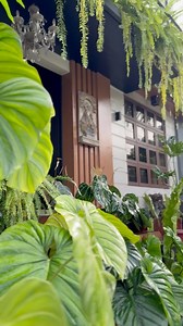 Garden Restoration Make -over Project: COMPLETED ✔️ Restoration can be more challenging than starting from scratch, especially when working with existing features. It's like solving a puzzle, figuring out how to enhance what's already there while respecting the original intent. With a bare wall, you have a blank canvas, but with restoration, you're working with a canvas that already has a story to tell! @topfans #IMA #gardenrearranging #gardenrestoration #gardenmakeover #food | 𝗥𝘂𝗮𝗵'𝘀 𝗚𝗮�