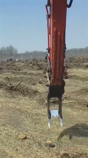 Excavator Digging Up Tree Roots