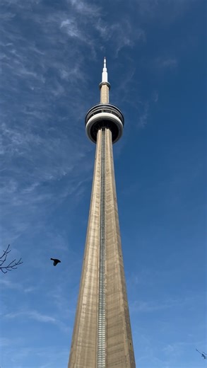 3.5K views · 32 reactions | Host your next event at the CN...