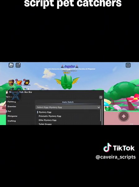 script pra pet catchers auto Farm #petcatchers #petcatchersroblox #roblox #robloxfyp #robloxscript