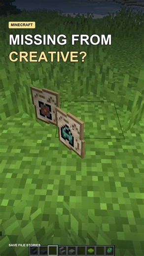 Creative Mode Is Missing These Minecraft Items #minecraft