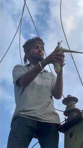 Parrot ko kya ho gya😱🦜👀#pets #shortvideo #shortsfeed #youtubeshorts #spkabuterclub